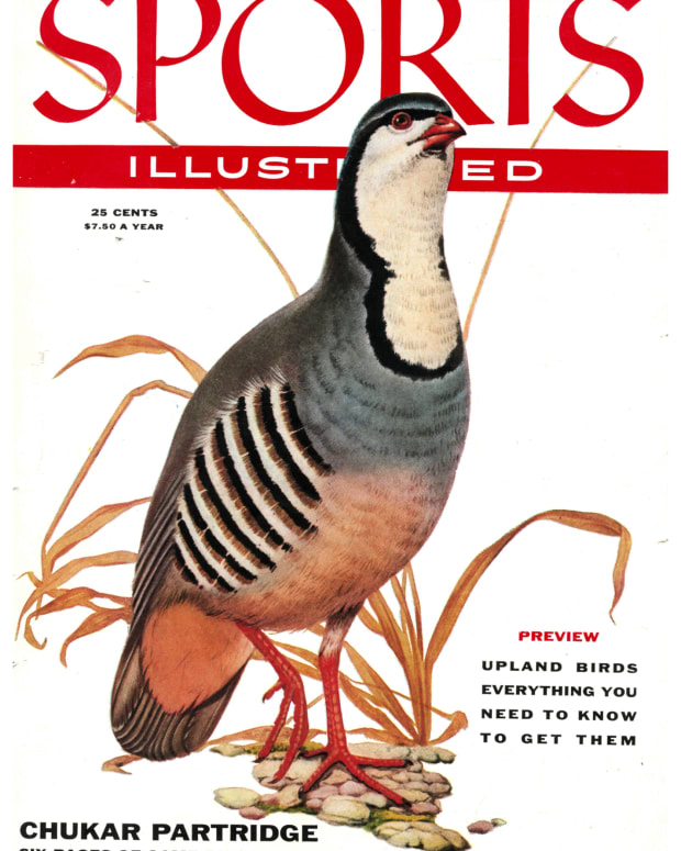 42356 - Cover Image